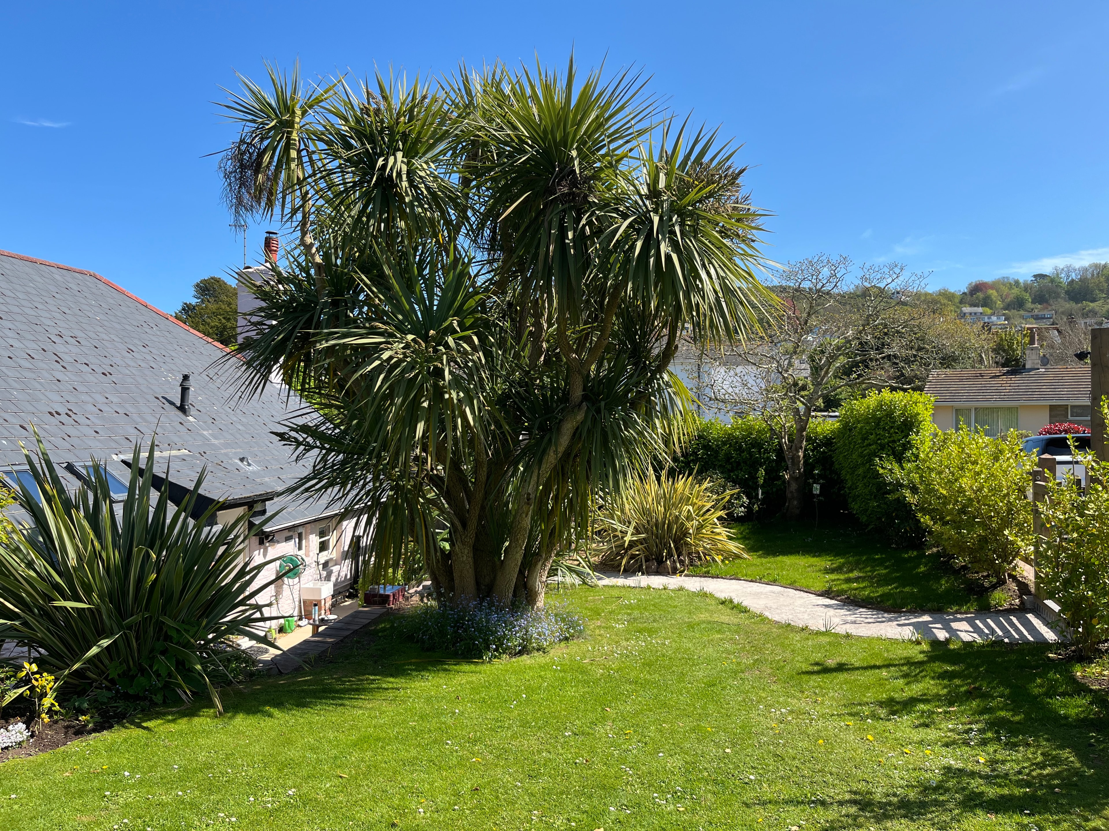 The Garden